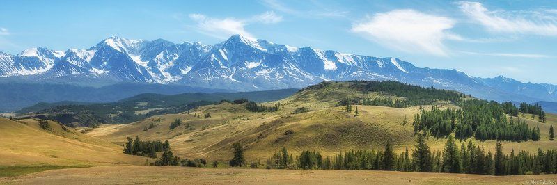 Лето в курайской степи (Алтай)photo preview