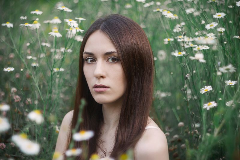 Ромашковые портреты фото превью