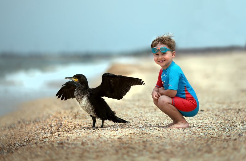 Сушит крылья теплый ветер фото превью