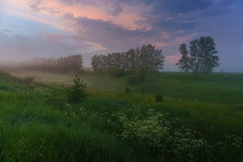 пейзаж, природа, туман, лето, фото Туманный вечер фото превью