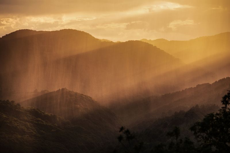 The color of rainphoto preview