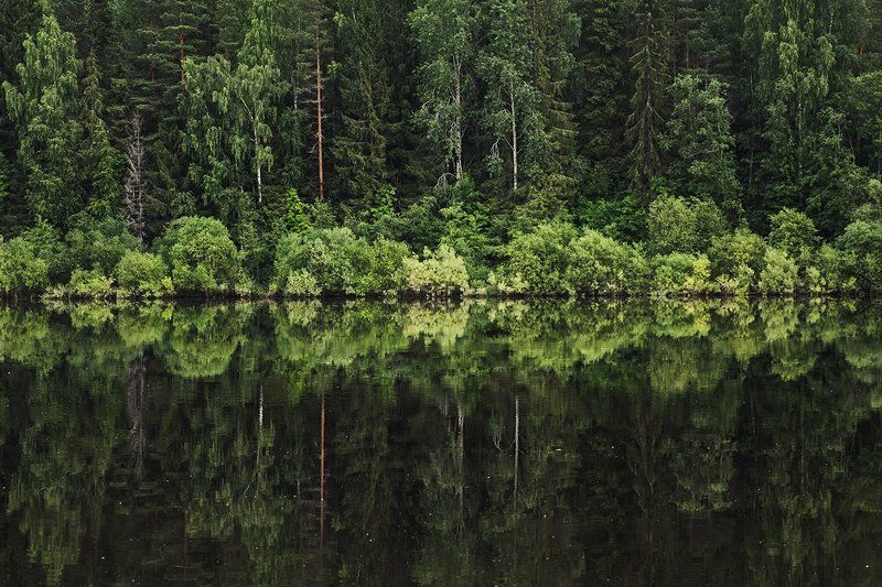 река Сухонаphoto preview