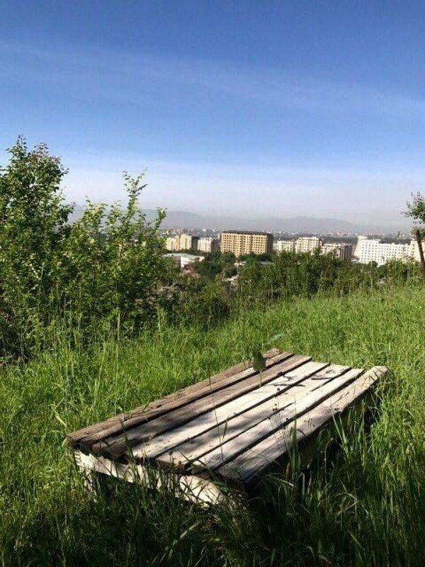 Пикникphoto preview