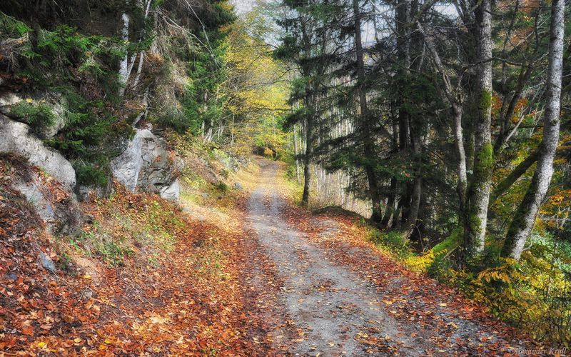 Когда с осенью по пути...photo preview