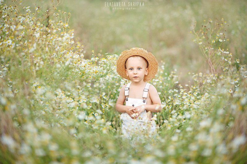 ромашковое настроениеphoto preview