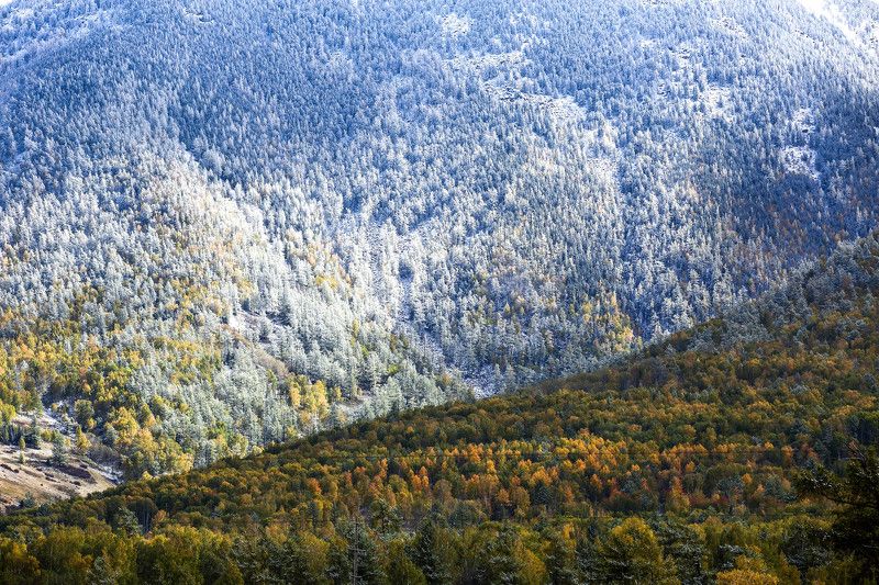 Altai, Kazakhstanphoto preview