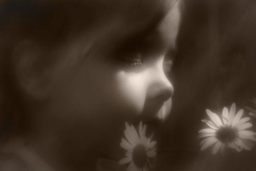 Гадание на ромашке