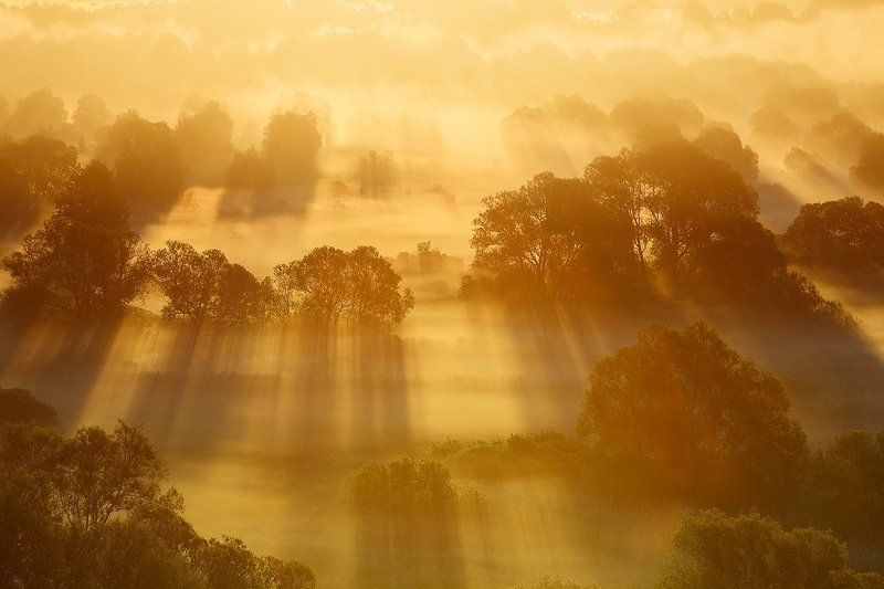 Золотой рассвет.photo preview