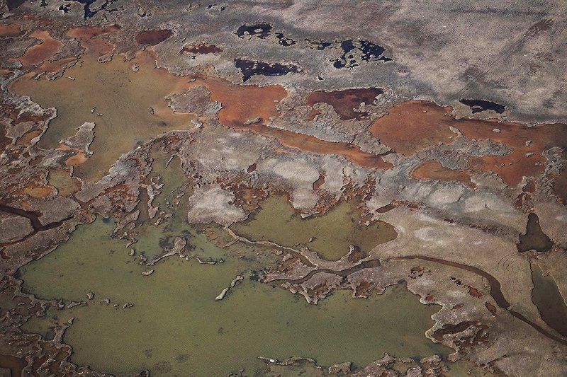 Текстуры тундрыphoto preview