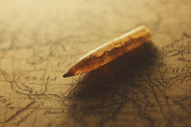 Палеонаходкиphoto preview