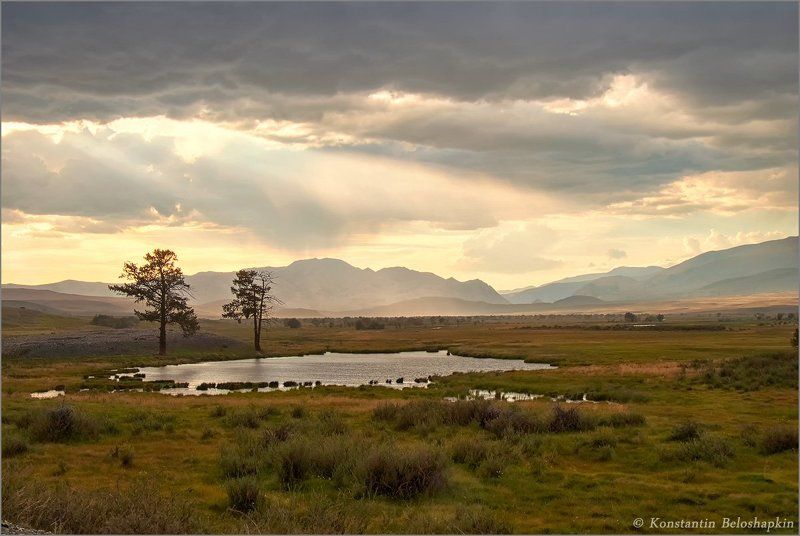 алтай, горы, курайский хребет, чуйская степь, июль, ёкитыт Ёкитытphoto preview