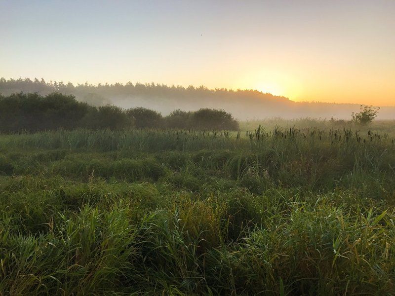 Ранним утром (мобильное фото)photo preview
