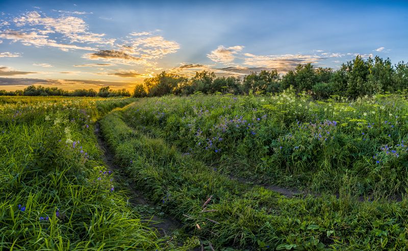 Дорожка к реке..photo preview