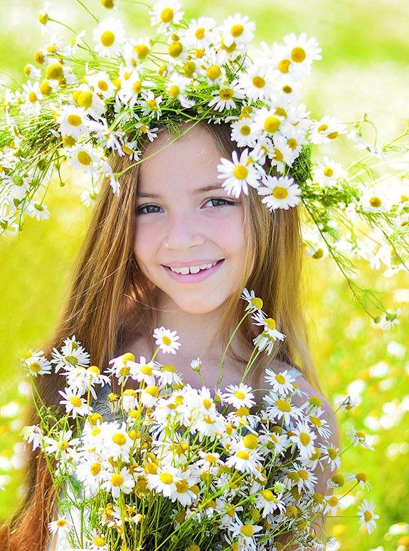 Ромашкиphoto preview