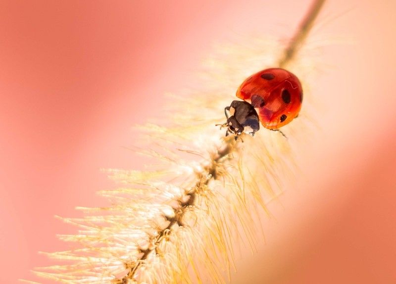 В путьphoto preview