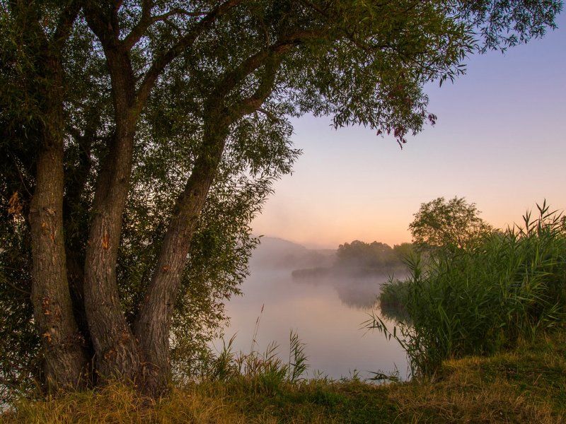 Утроphoto preview