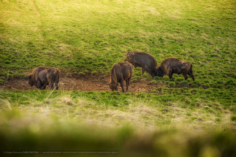 Свое местоphoto preview