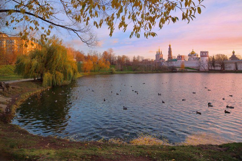 москва, вечер, пруд, монастырь, новодевичий монастырь, утки Вечер у Новодевичьегоphoto preview