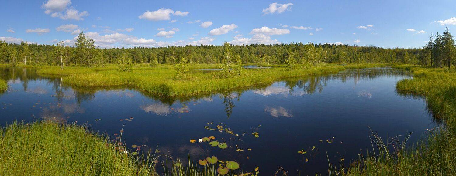 , Сергей Седов