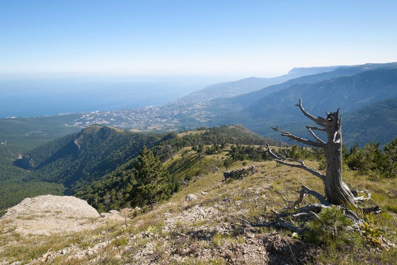 Занавес! photo preview