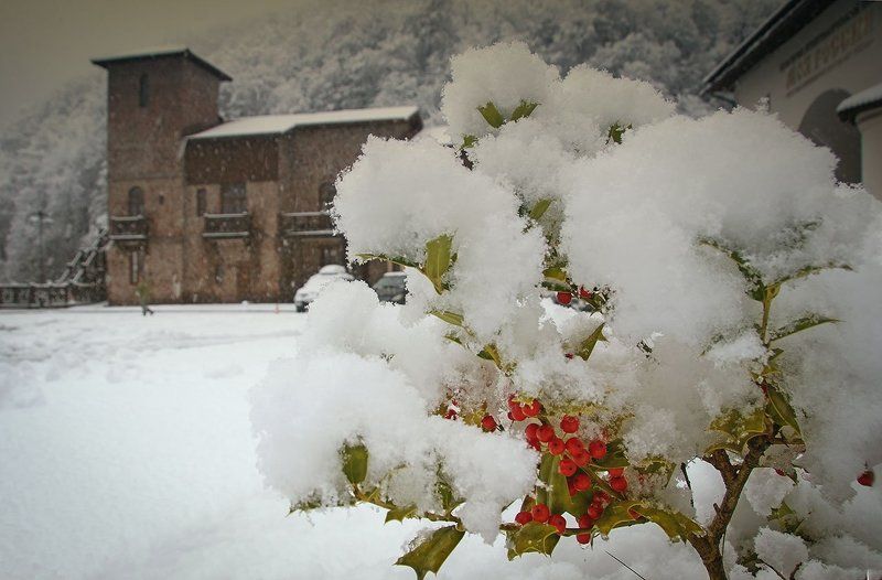 снег Невесомый снег.photo preview