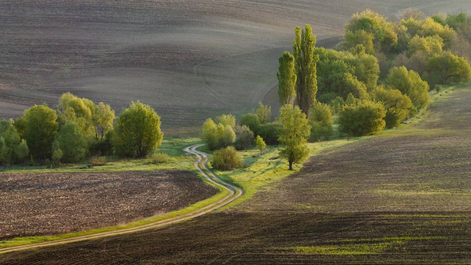 . . .. Автор: Alexey Argentum , Alexey Argentum