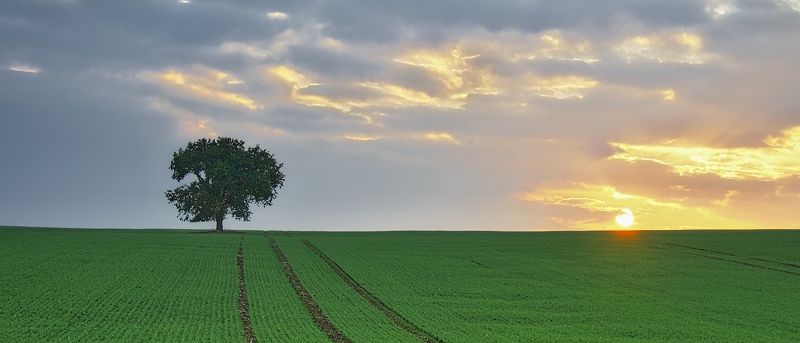 Moja фото превью