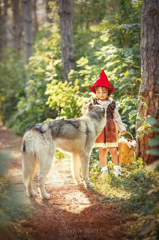 Красная шапочкаphoto preview