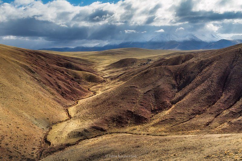 landscape, scenic, nature, travel, outdoor, view, tourism, steppe, spring, mountains, snow, sky, high, grass, clouds, yellow, red, ginger, Altai Сайлюгемский бархатphoto preview