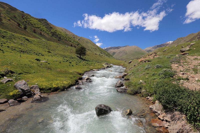 Приэльбрусьеphoto preview