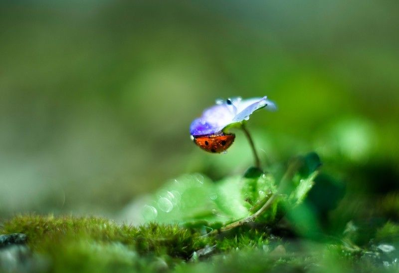 Спряталасьphoto preview