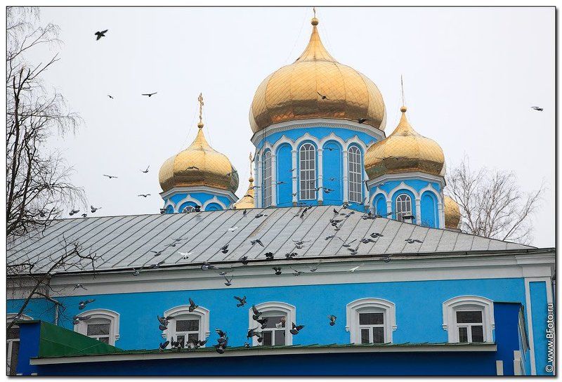 храм, цервковь, собор, православие, христианство, россия Собор Владимирской иконы Божьей материphoto preview