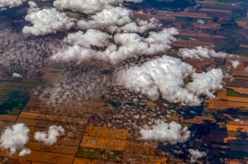 Вечные странникиphoto preview