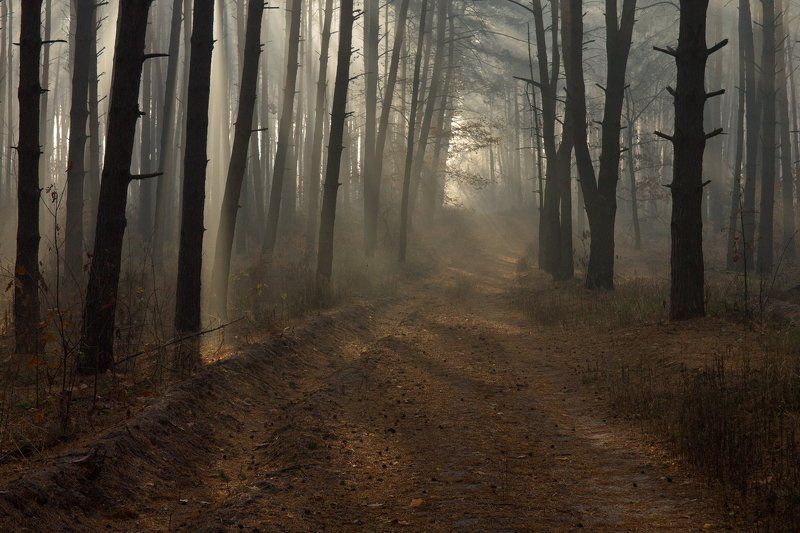 . . . фото превью