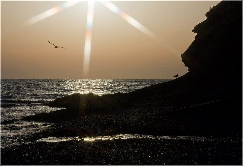 море, пляж, закат, скала, чайки Каменный \