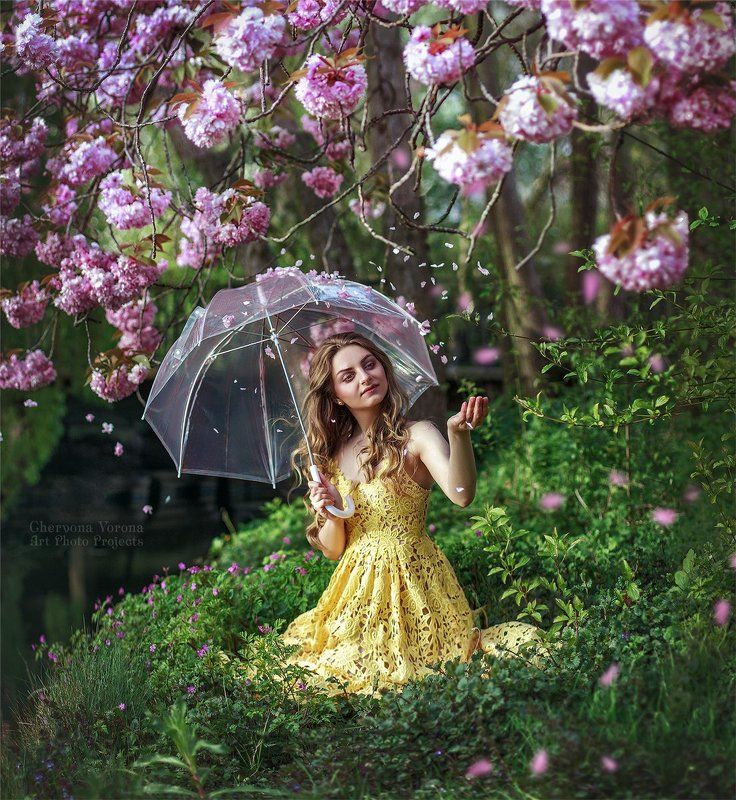 сакура, девушка, река, весна, цветы, полянка, лепески Весенний дождьphoto preview