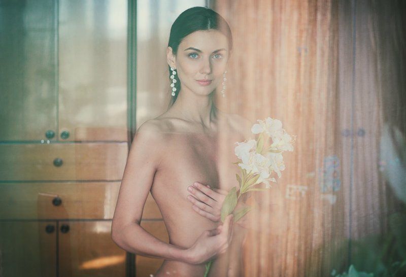 Window flowersphoto preview