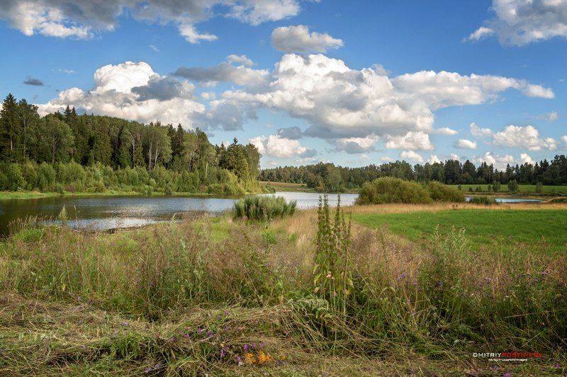 пейзаж,природа,лето,поле,озеро,облака,небо, Среди полей Подмосковья.photo preview