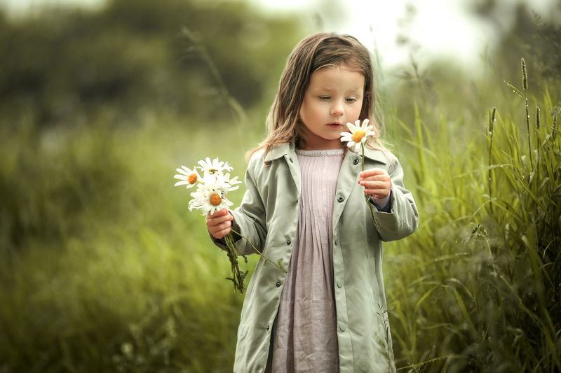 Ромашкиphoto preview