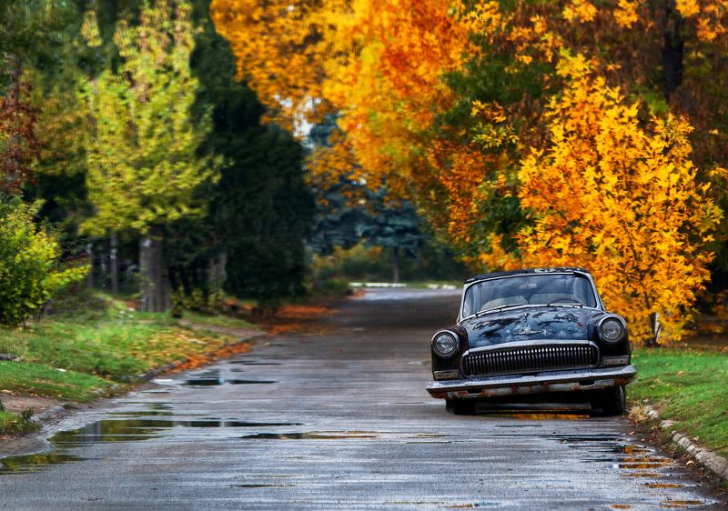 авто, город, осень, дождь, листья Рожденный в СССРphoto preview