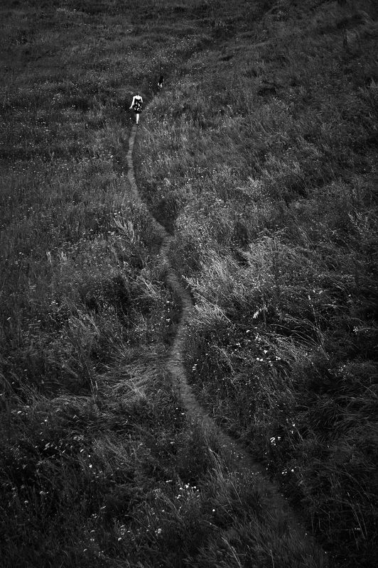 Blackfieldphoto preview