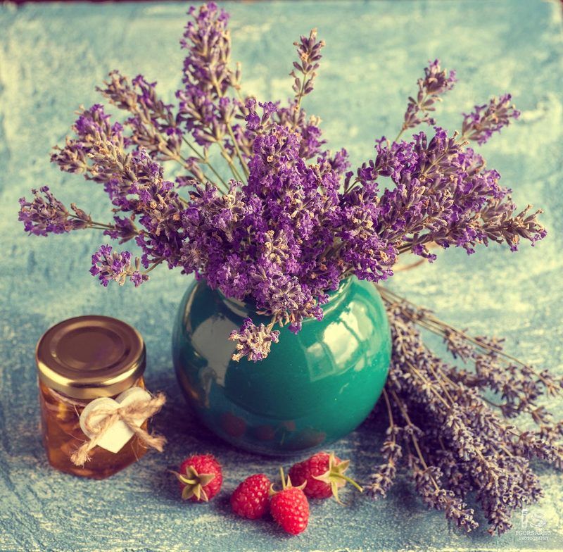 Lavender IIphoto preview