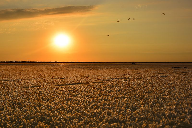 сиваш, закат, солнце, краски, соль, кристаллы соли,солончак, соленое озеро When we walk the fields of soltphoto preview