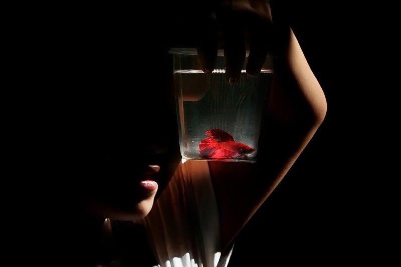 свет, рыбка, человек ...photo preview