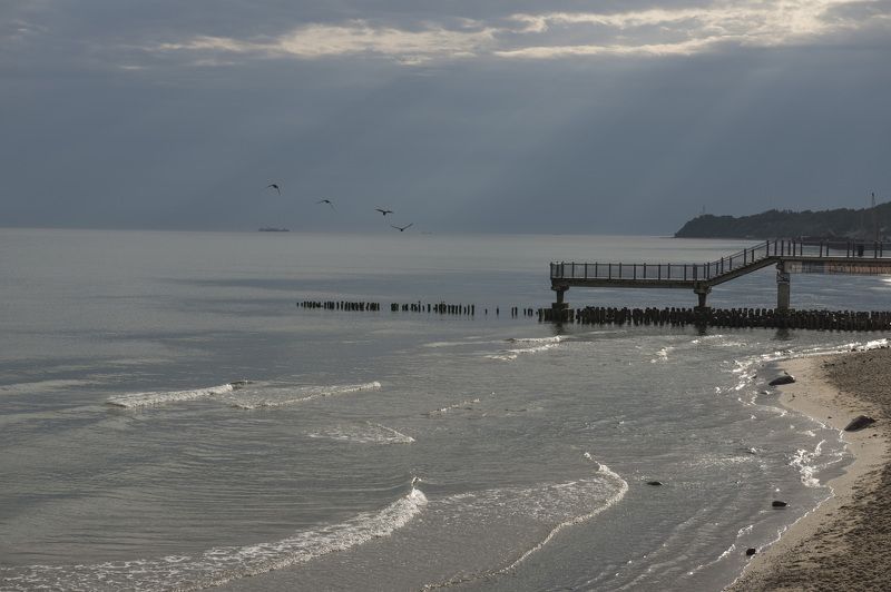 светлогорск \