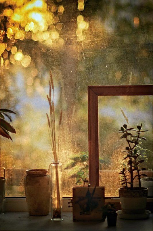 «август» [ сегодня, 5. 44 ]photo preview