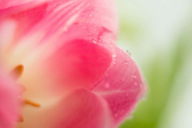 Утроphoto preview