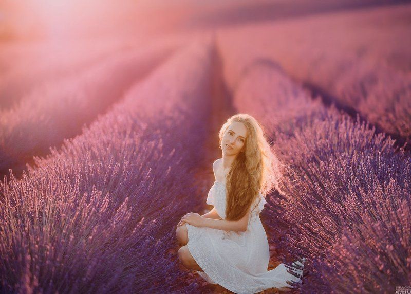 лавандовое поле,  лаванда,  прованс,  булавина,  фрацния  Лавандаphoto preview