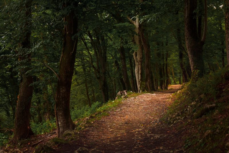 Горные тропкиphoto preview