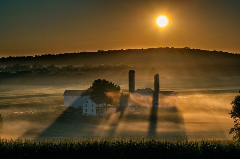 Foggy Shadowsphoto preview